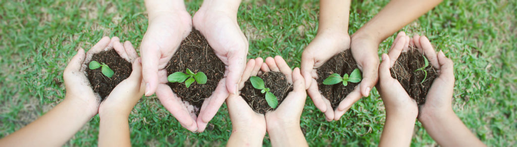 Children holding saplings in hands